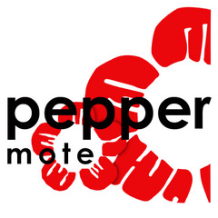 Peppermote Anfinnes