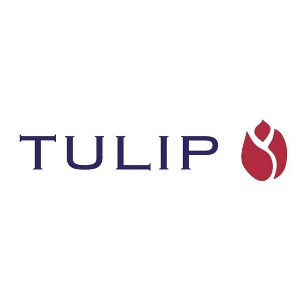 TULIP REGNSKAP AS