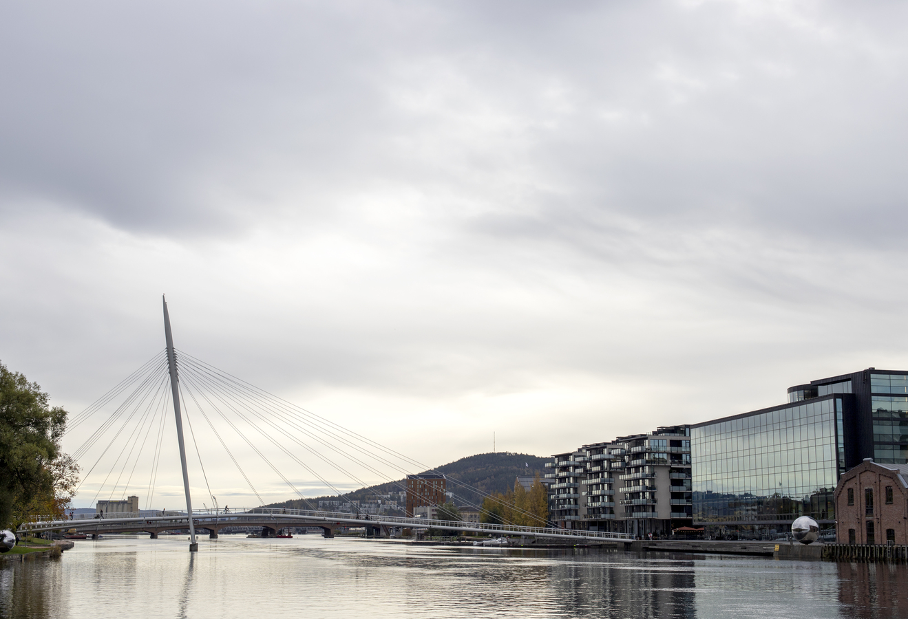 Elvebredden Drammen